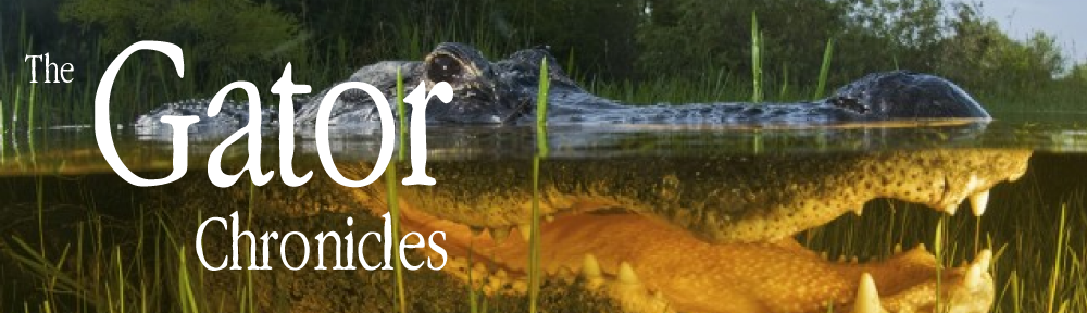 thegatorchroniclesdotcom