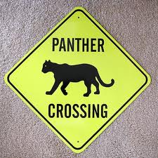 Panther 2